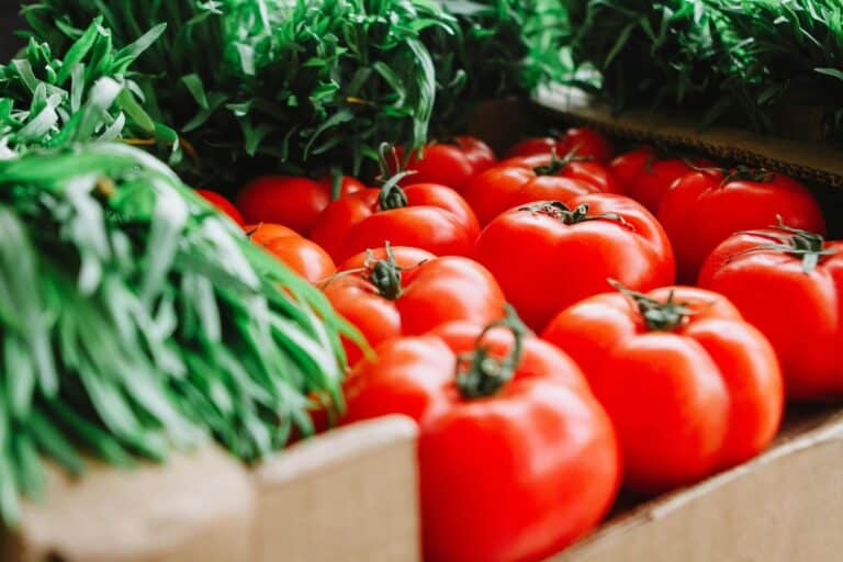 fertilizzante pomodori