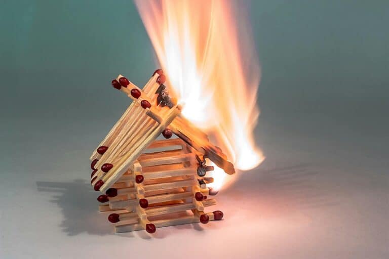fiammiferi nelle piante