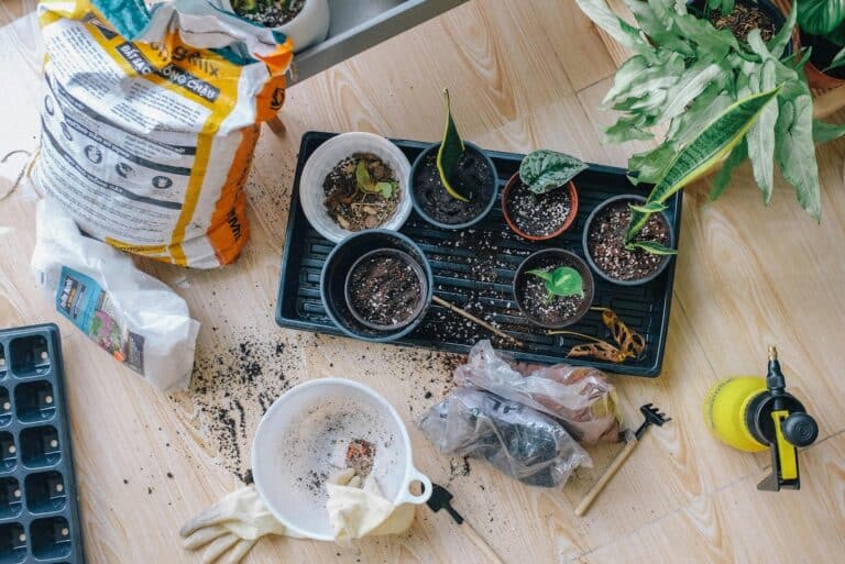 Giardinaggio urbano: come trasformare balconi e terrazzi in oasi verdi