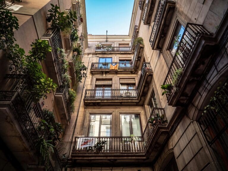 Come impiantare e curare piante aromatiche sul balcone tutto l’anno